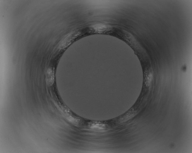 X0000116480471201001061124