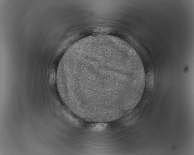 X0000116480474201001061124