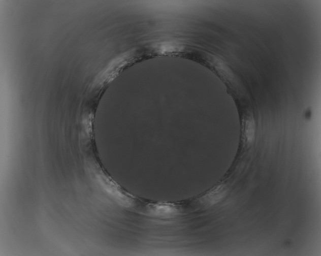 X0000116480475201001061124