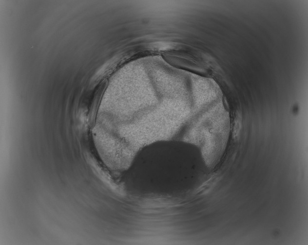 X0000116480476201001061124