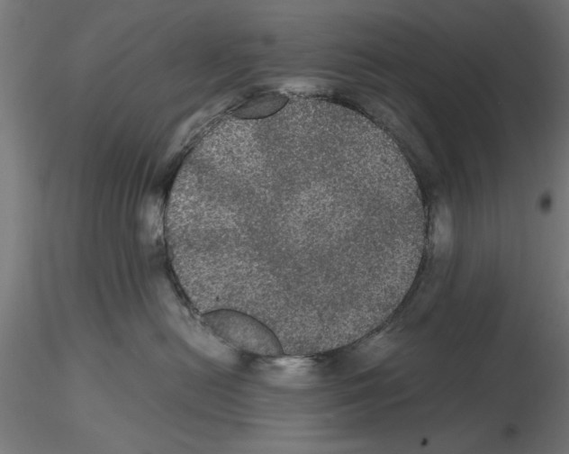 X0000116480478201001061124