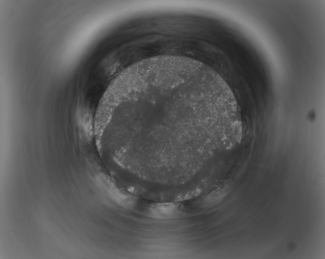 X0000116480479201001061124