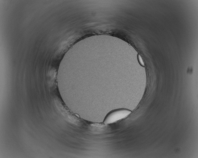 X0000116480480201001061124