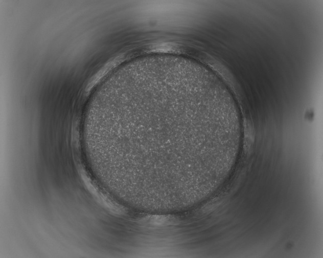 X0000116480482201001061123