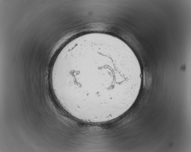 X0000116480483201001061123