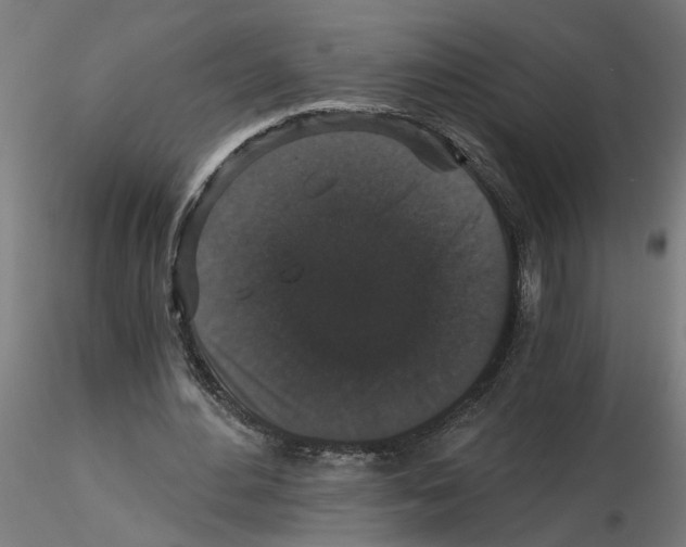 X0000116480484201001061123