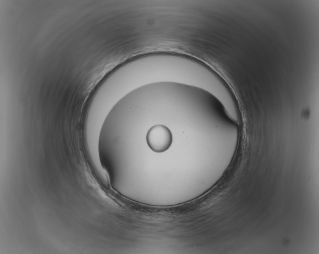 X0000116480485201001061123