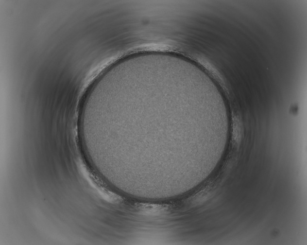 X0000116480486201001061123