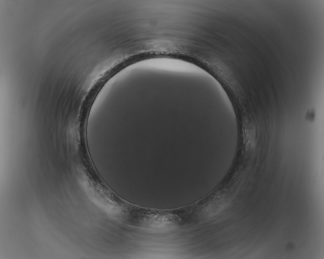 X0000116480488201001061123