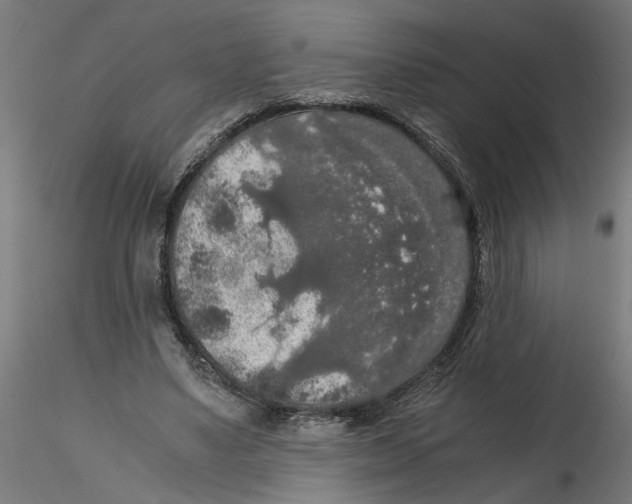 X0000116480491201001061123