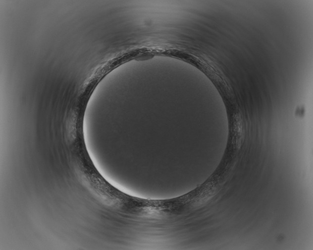 X0000116480496201001061123