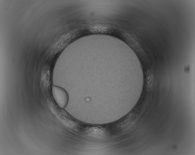 X0000116480498201001061123