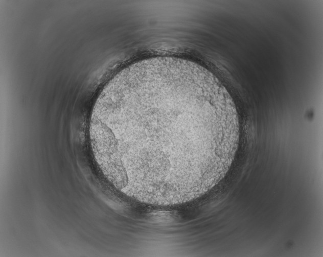 X0000116480499201001061123