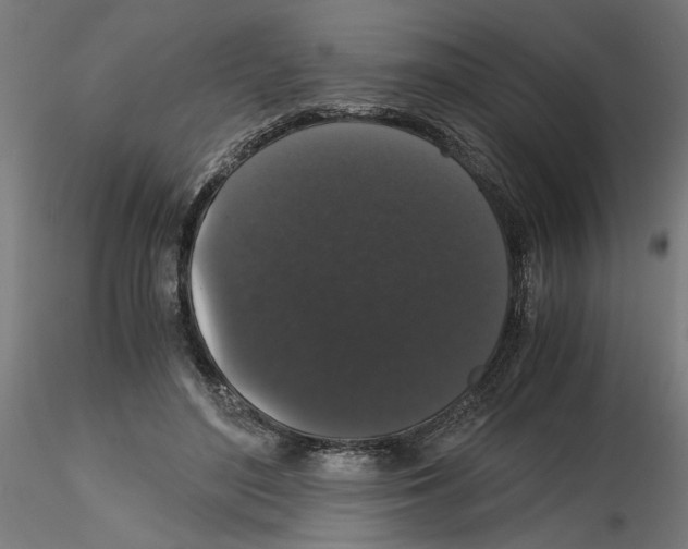 X0000116480500201001061123