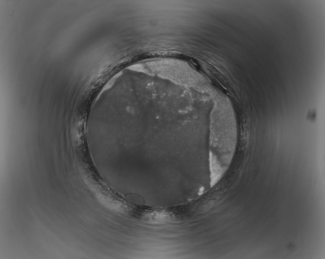 X0000116480503201001061123