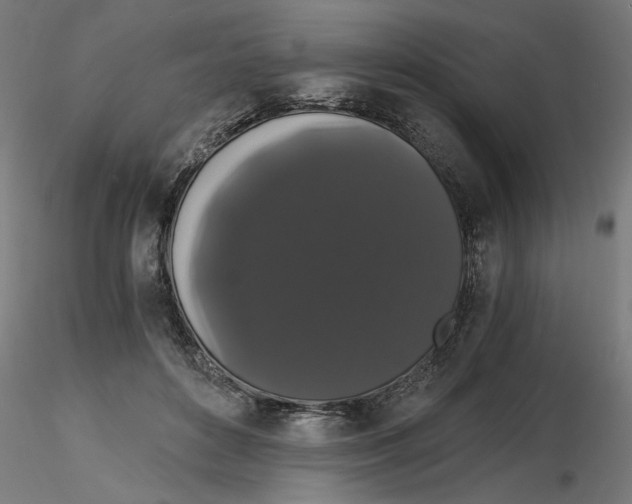 X0000116480504201001061123