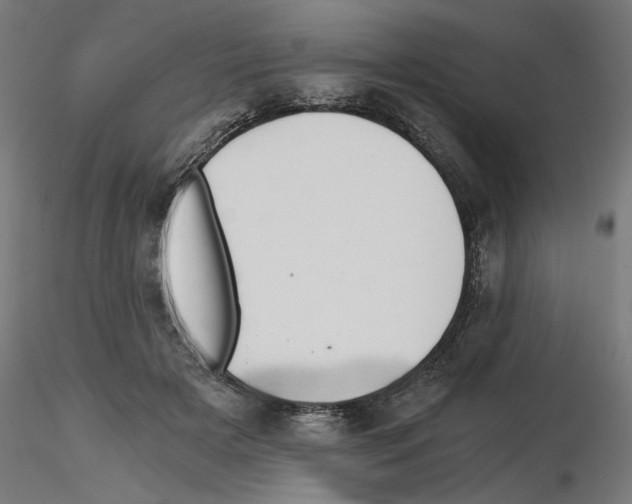 X0000116480505201001061123