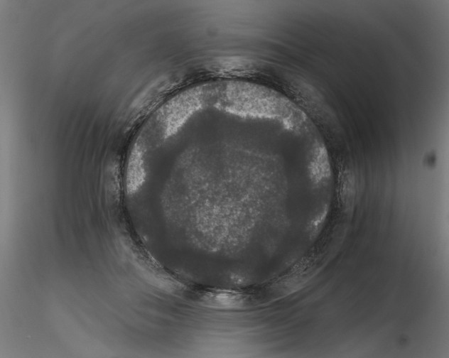 X0000116480506201001061123