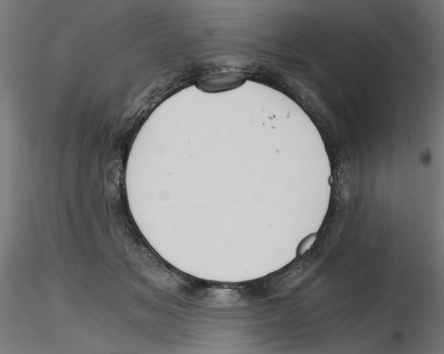 X0000116480509201001061123