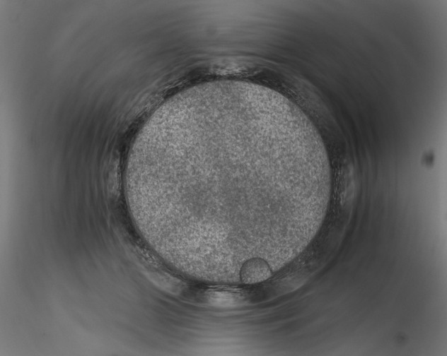 X0000116480510201001061123