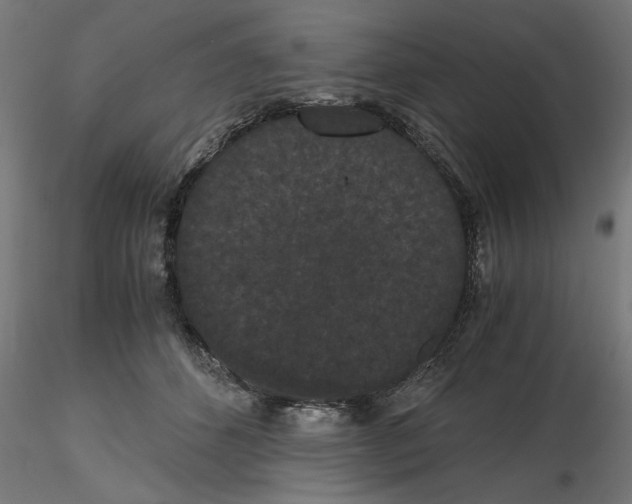 X0000116480512201001061123