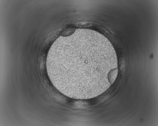 X0000116480515201001061123