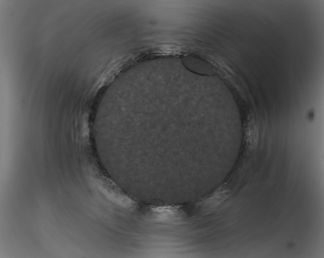 X0000116480516201001061123