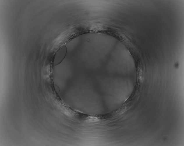 X0000116480519201001061123