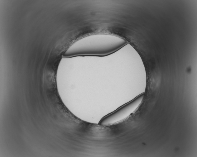 X0000116480521201001061123