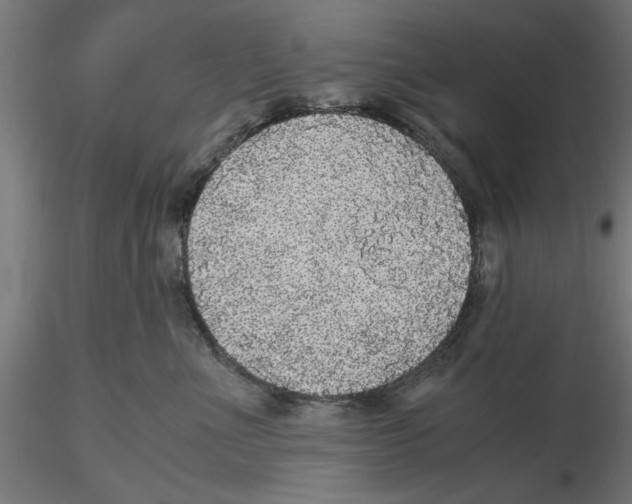 X0000116480523201001061123