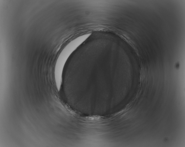 X0000116480524201001061123