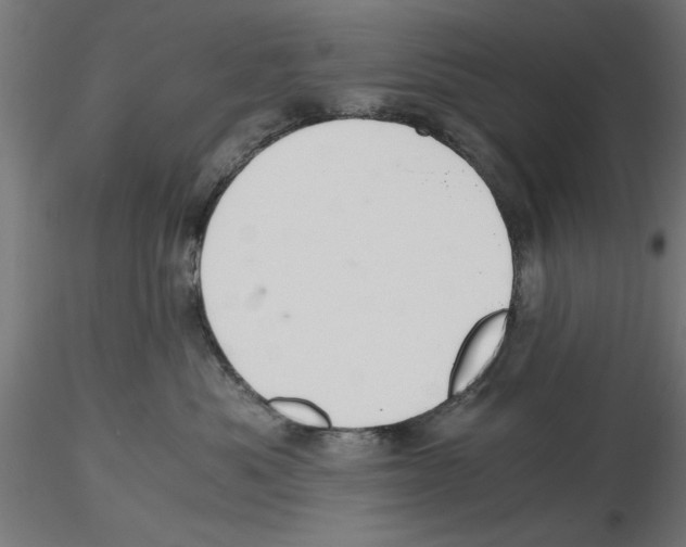 X0000116480525201001061123