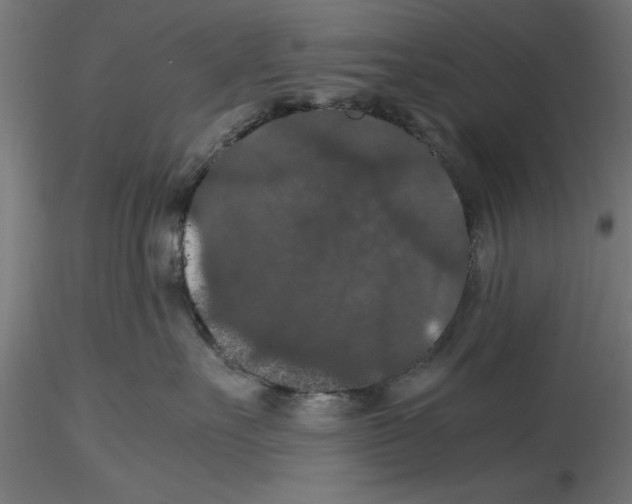 X0000116480527201001061122