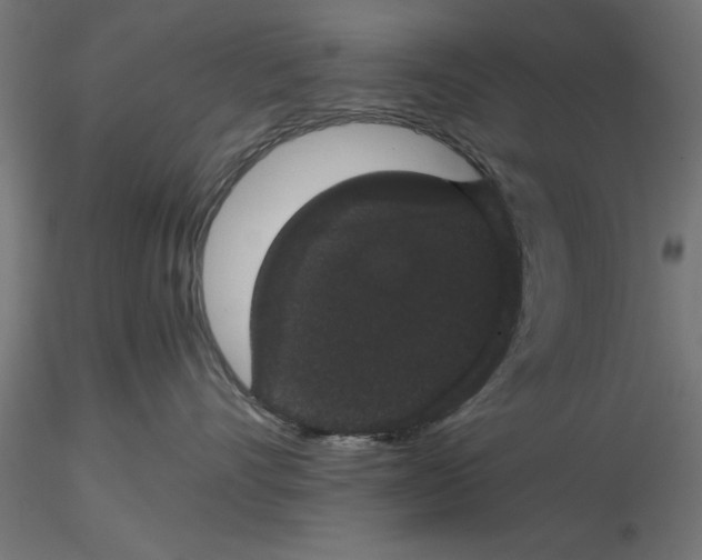 X0000116480528201001061122