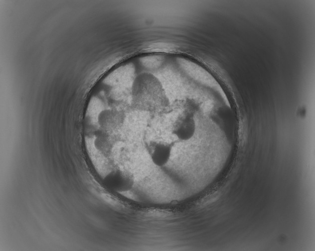 X0000116480529201001061122