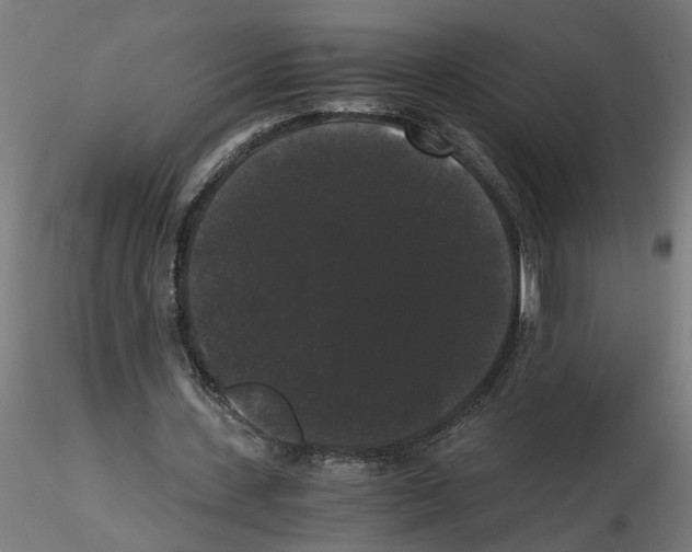 X0000116480531201001061122