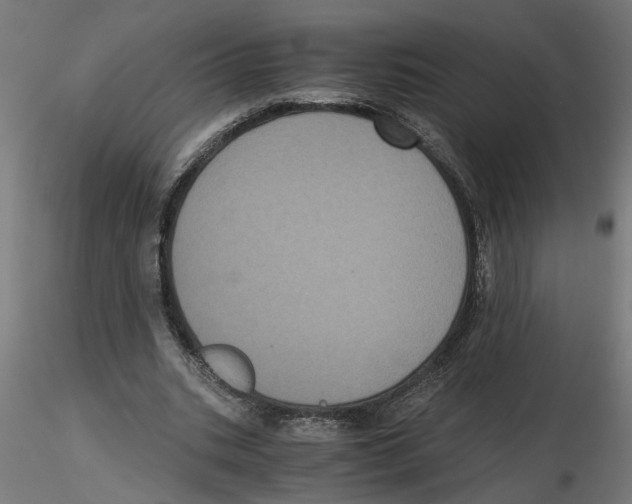 X0000116480535201001061122