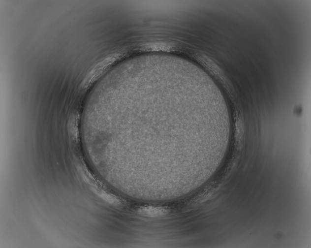 X0000116480537201001061122