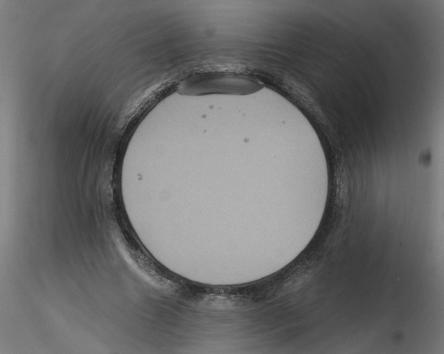 X0000116480538201001061122