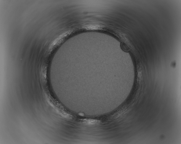 X0000116480539201001061122