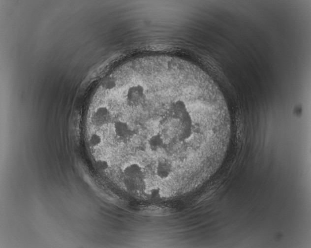 X0000116480542201001061122