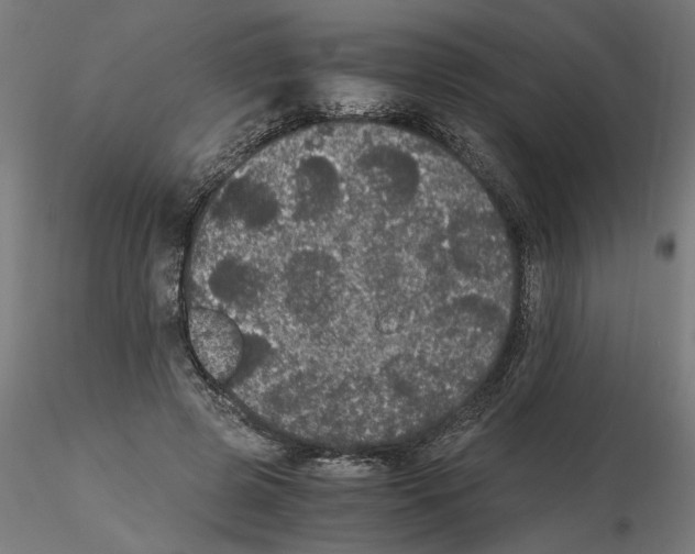 X0000116480545201001061122