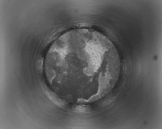 X0000116480550201001061122