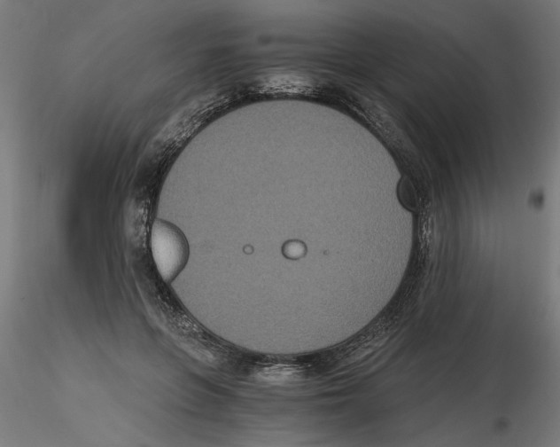 X0000116480551201001061122