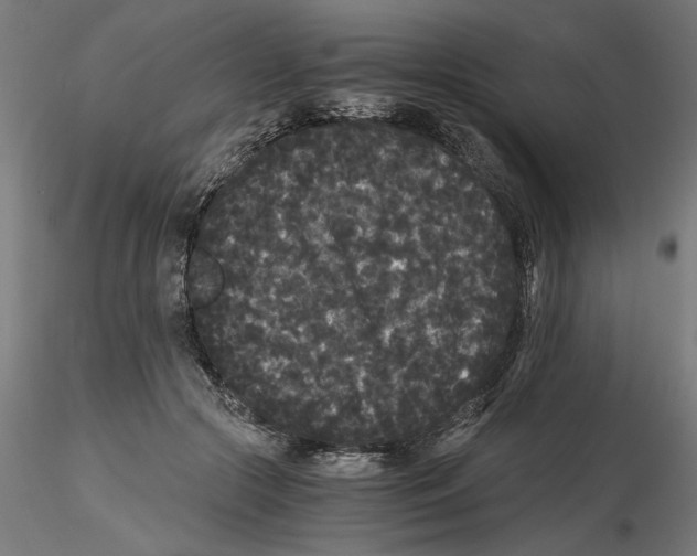 X0000116480553201001061122