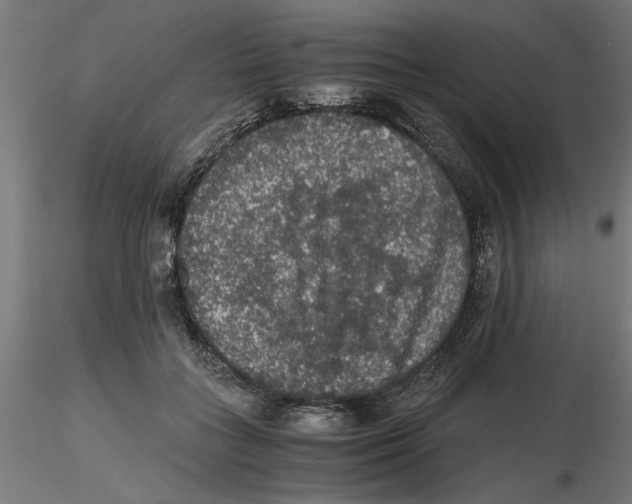 X0000116480555201001061122