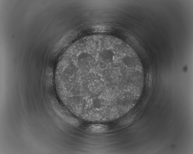 X0000116480557201001061122