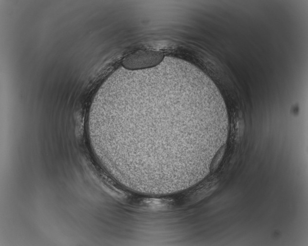 X0000116480558201001061122