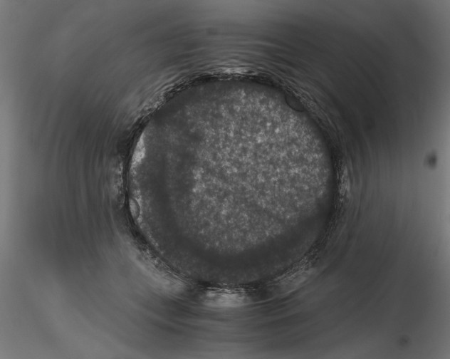 X0000116480559201001061122