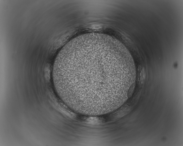 X0000116480562201001061122